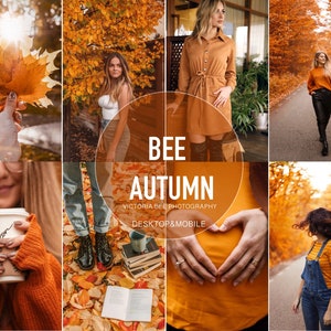 10 Fall Presets Presets BEE AUTUMN, fall presets for desktop and mobile Lightroom, bright autumn filter for bloggers