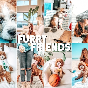 25 Lightroom Dog Presets für Mobile und Desktop Lightroom, Pet Preset, Dog Instagram Filter, Bright Light Preset, Instagram Filter DNG