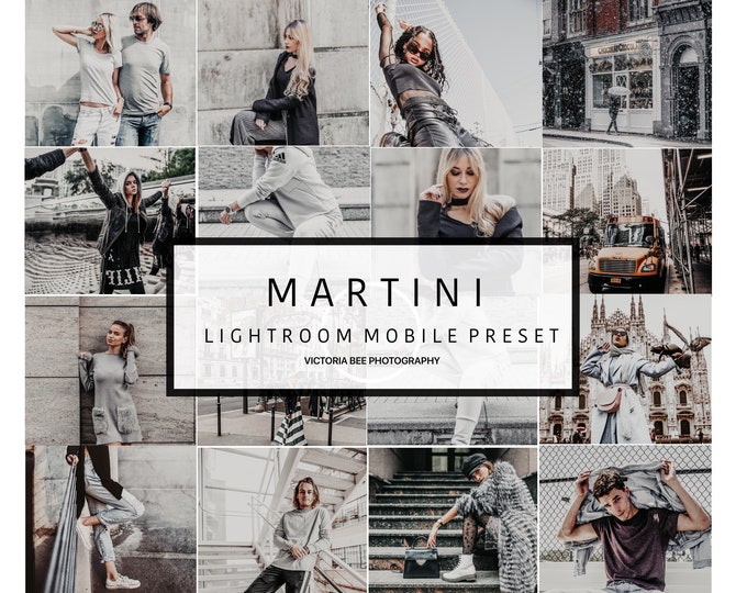 5  Lightroom Mobile Presets MARTINI Urban Street Lightroom Preset  Gray Tones Lifestyle Preset for Photo Editing