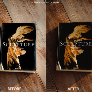 May include: A book titled "Sculpture: From Antiquity to the Middle Ages" by Taschen, featuring a golden statue of a winged figure on the cover.