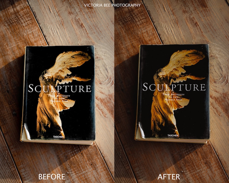 May include: A book titled "Sculpture: From Antiquity to the Middle Ages" by Taschen, featuring a golden statue of a winged figure on the cover.