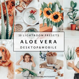 Puede incluir: Un collage de imágenes con una variedad de temas, incluyendo plantas, comida y personas. Las imágenes están dispuestas en una cuadrícula y todas tienen una paleta de colores cálida y natural. El texto "10 Lightroom Presets Aloe Vera Desktop & Mobile" se muestra en el centro del collage.