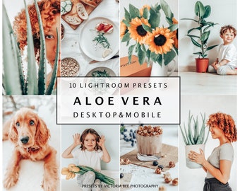 10 Lightroom Mobile Presets ALOE VERA, Bright Airy Mobile Presets For Bloggers, Indoor Outdoor Light Presets Instagram Photo Editing