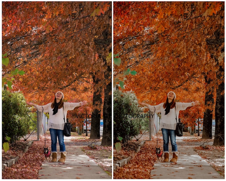 25 Lightroom Presets AUTUMN LIGHTS for Desktop and Mobile, Fall Presets, Warm Instagram Filter, Autumn Preset image 4