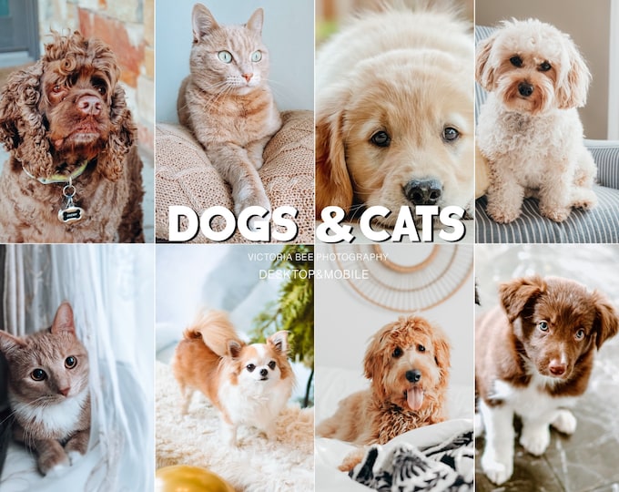 10 Lightroom Presets DOGS AND CATS, Pet presets for Phone, Dog presets, Instagram Filters for pets, Puppy Preset, Kitten Photo Filter