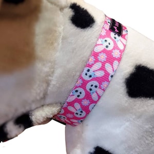 Easter Bunny Dog Collar