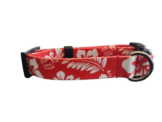 Hibiscus top dog collar