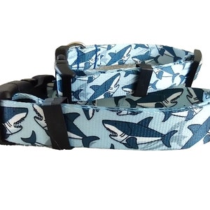 Shark Dog Collar