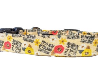 Ray of Sunshine Dog Collar