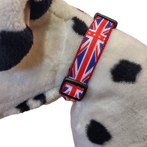 Union Jack Dog Collar