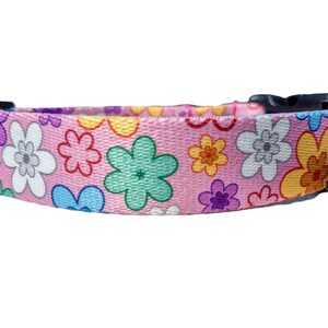 Può includere: Collare per cani rosa con un motivo floreale colorato. I fiori sono in tonalità di verde, giallo, arancione, viola e blu.