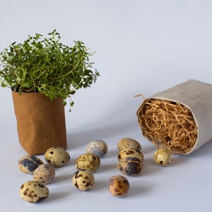 Copripiante in vaso, vaso per piante grande, vaso per piante medio, vaso per piante carino, vaso per piante da 6 pollici, vaso per piante lungo, vaso per piante 7, SPEDIZIONE GRATUITA!!!