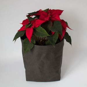 Vaso di carta lavabile, vaso di carta nera, contenitore minimalista, cesto di fiori, vaso di fiori nordico, fioriera di carta, SPEDIZIONE GRATUITA!!!
