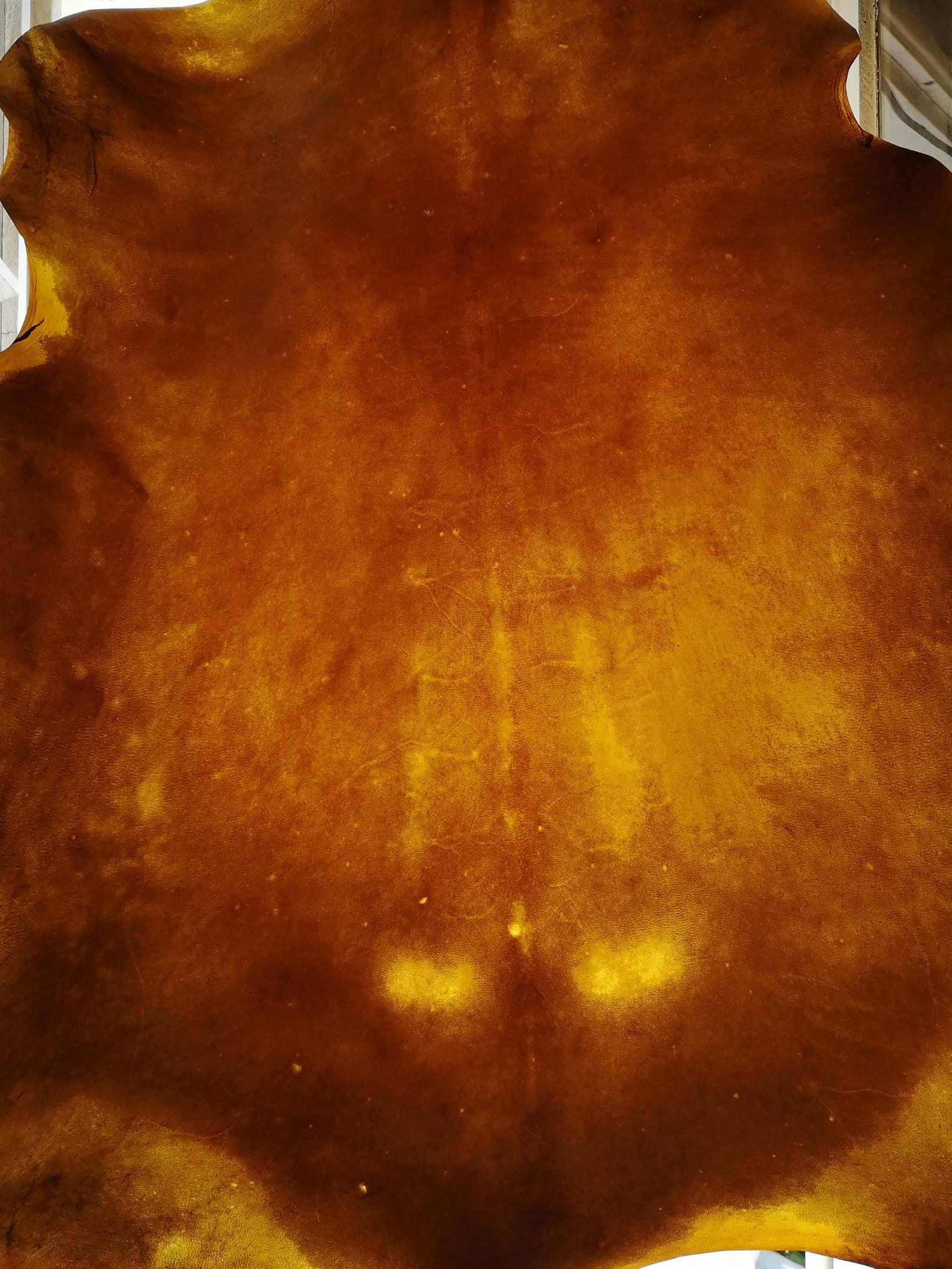 Parchment skins parchments lime tanned skins Etsy