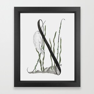 Animal Alphabet Watercolor Digital Download Print | Letter N Narwhal | Downloadable Wall Art | kid nursery decor | Handmade | newborn gift
