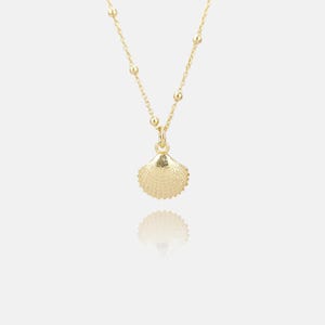Shell Necklace in Silver or Gold, Satellite Necklace, Satellite Chain, Shell Jewellery, Necklaces for Women, Gift for Her, Birthday Gift