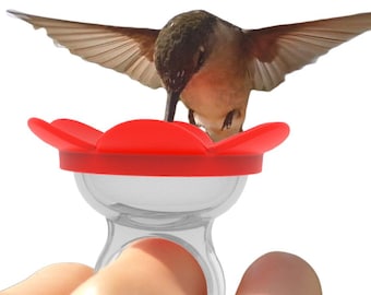 Hummingbird Ring Feeder by ZUMMR