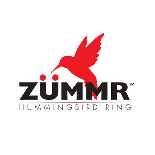 Hummingbird Ring Feeder by ZUMMR Canada