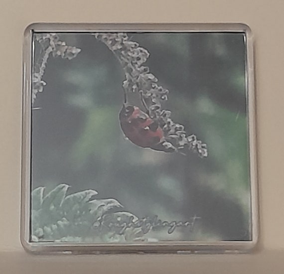 Small Square Assorted Etsy