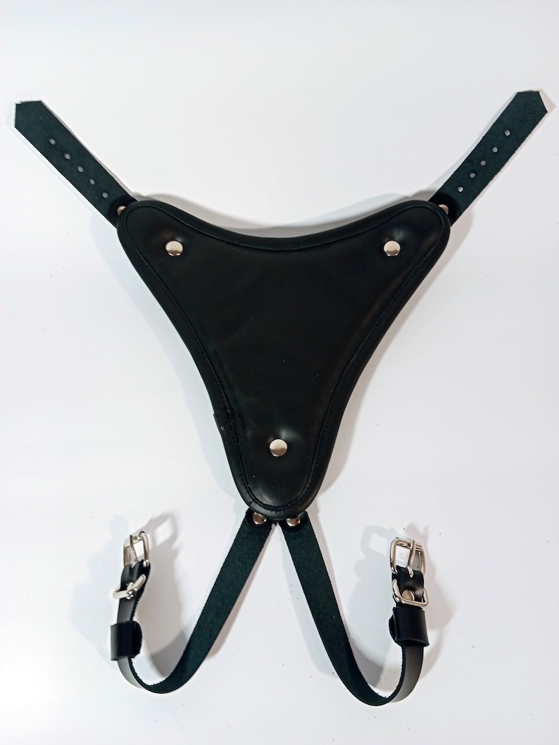 May include: Black leather harness with a triangular shaped piece in the front. The harness has two straps that connect to the triangular piece and two straps that connect to the back. The straps have silver buckles.