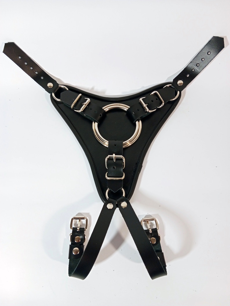 May include: Black leather harness with silver metal buckles and a large silver ring. The harness has two straps that connect to the ring.