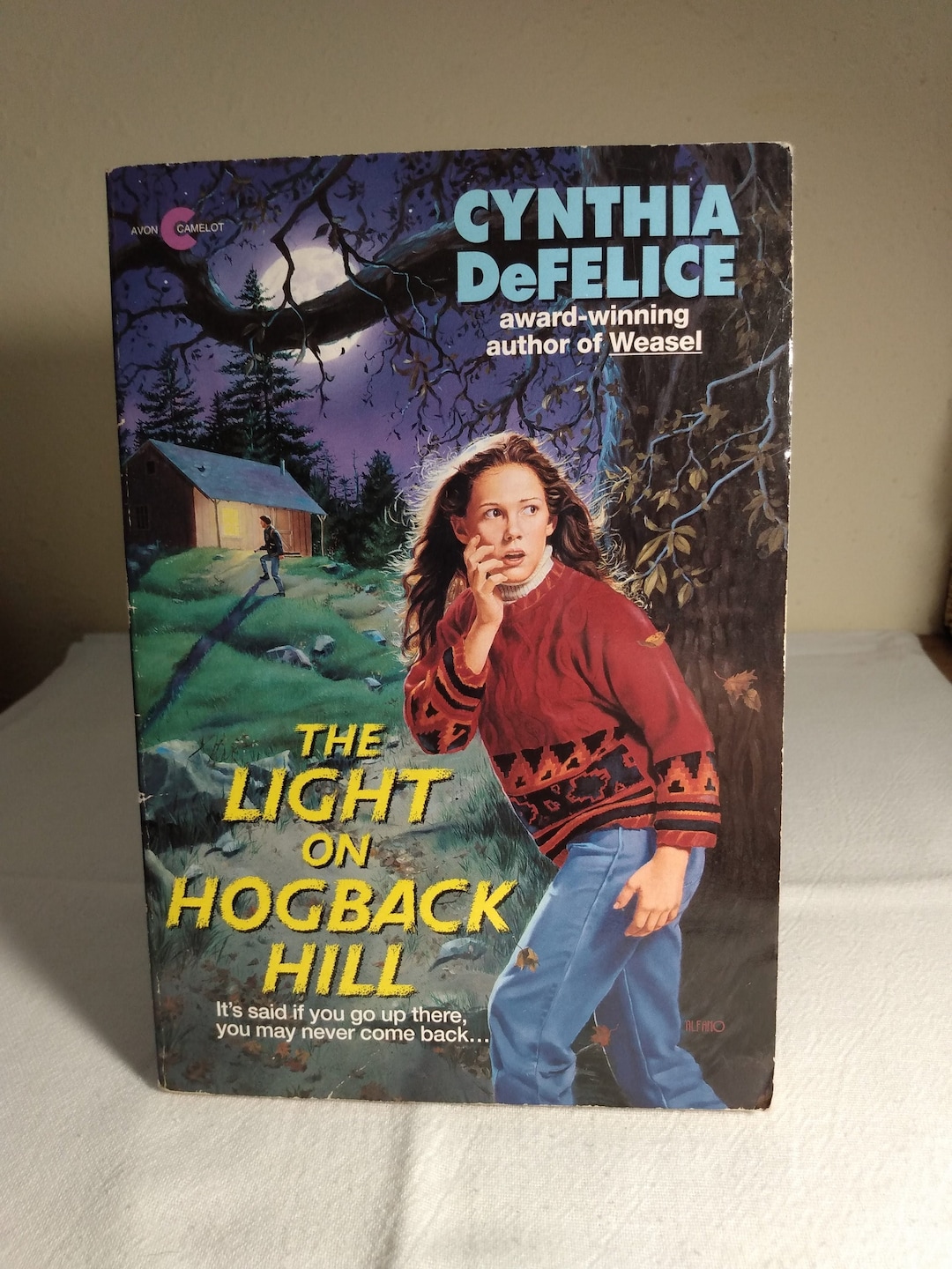 The Light on Hogback Hill, Used Book, by Cynthia Defelic, Avon Books, Fiction, Paperback, Good ...