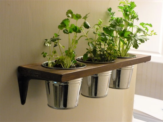 Floating Herb Garden Shelf Indoor Herb Garden