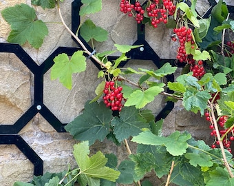 Modern Metal garden trellis planter - Metal wall art- Climbing plants