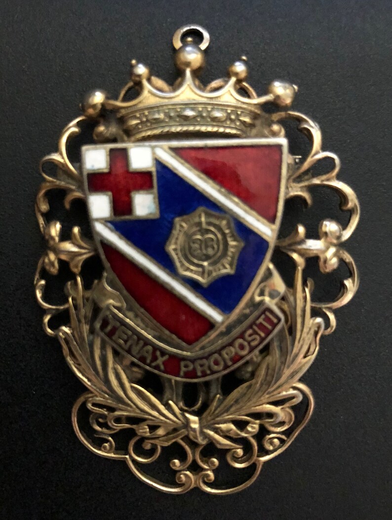 Vintage Brass Mid Century Enamel Coat of Arms Lapel PinBrooch 1940/'s Tenax Propositi PinBrooch
