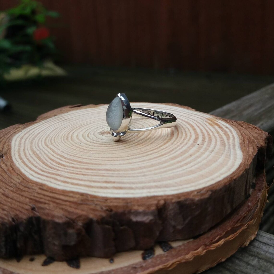 Pet Cremation Ashes Ring Human Hair Ring Pet Hair Ring Pet Etsy