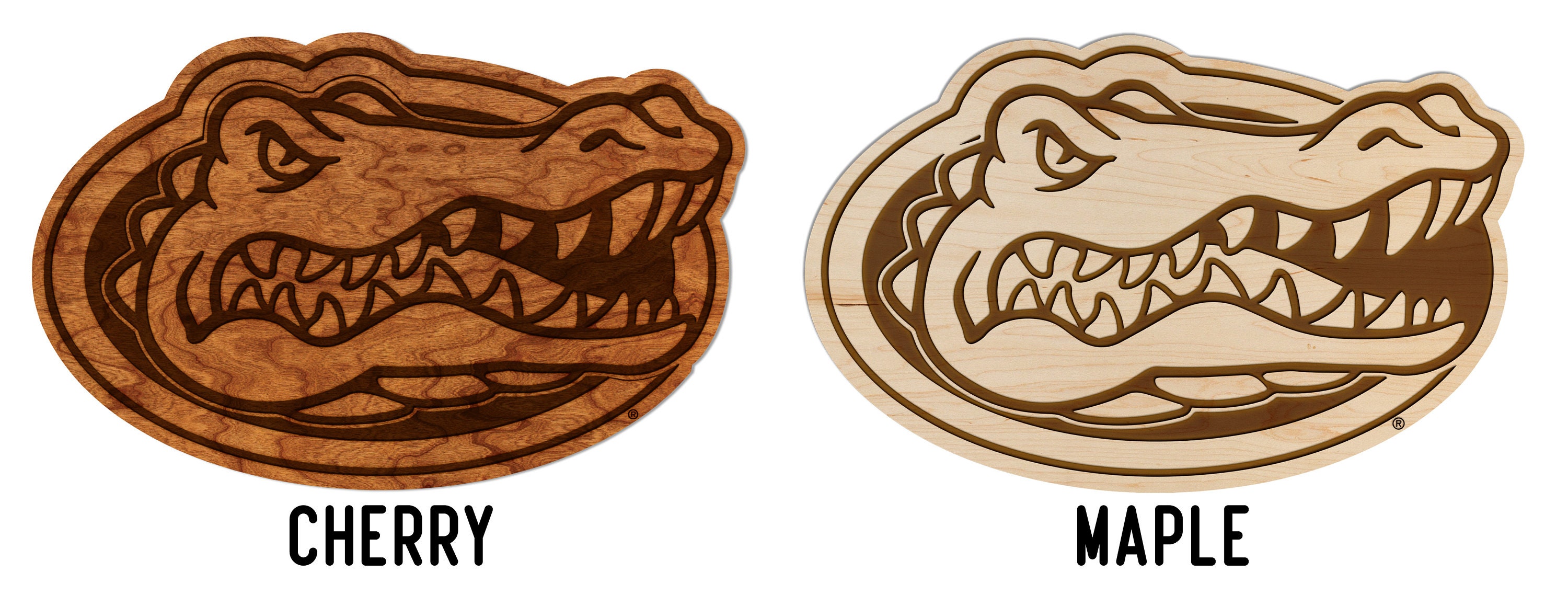 University of Florida UF Wall Hanging Crafted from Etsy