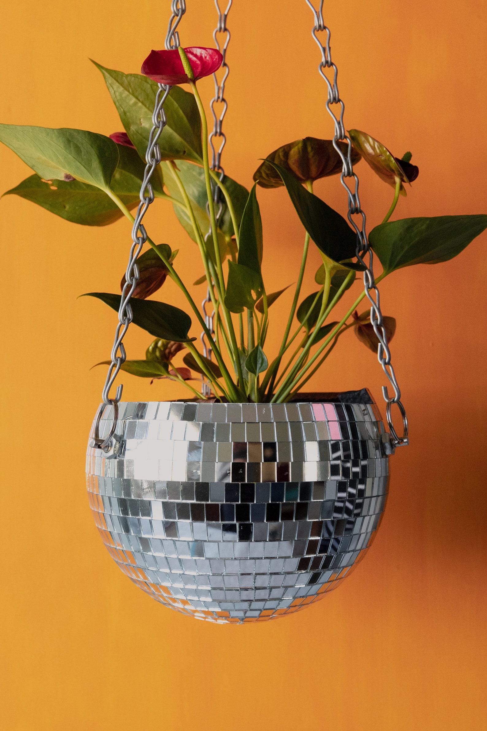 12 Disco Ball Planter. Custom Hanging Flower Pot. Disco Etsy