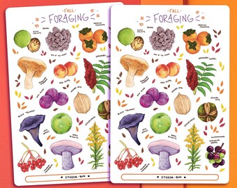 Fall Foraging Sticker Sheet | Journal Stickers | Planner Stickers | Scrapbooking | Stationary | Bullet Journal | Botanical Illustration