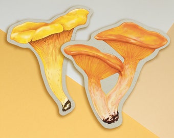 Vintage Style Mushrooms Die Cut Stickers | 3 Inch Stickers | Chanterelle Stickers | Sticker Sets