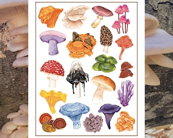 Mushrooms Botanical Art Print | Fungi Art | Signed and Dated