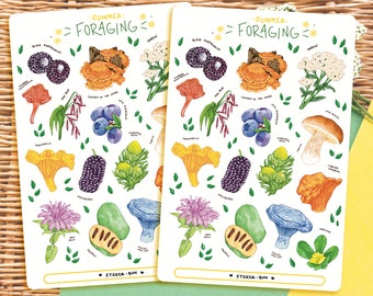 Summer Foraging Sticker Sheet | Journal Stickers | Planner Stickers | Scrapbooking | Stationery | Bullet Journal | Botanical Illustration