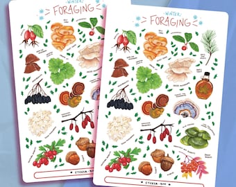 Winter Foraging Sticker Sheet | Journal Stickers | Planner Stickers | Scrapbooking | Stationery | Bullet Journal | Botanical Illustration