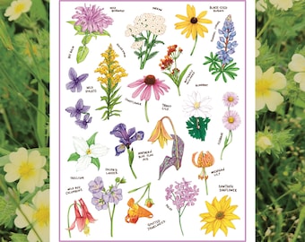 Native Wildflowers Botanical Art Print | Signed and Dated