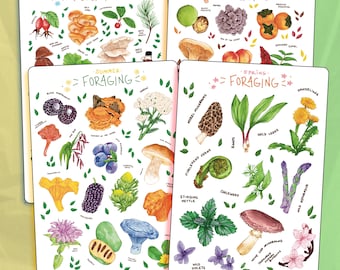Foraging Sticker Sheet Bundle| Journal Stickers | Planner Stickers | Scrapbooking | Stationery | Bullet Journal | Botanical Illustration