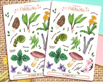 Spring Foraging Sticker Sheet | Journal Stickers | Planner Stickers | Scrapbooking | Stationary | Bullet Journal | Botanical Illustration