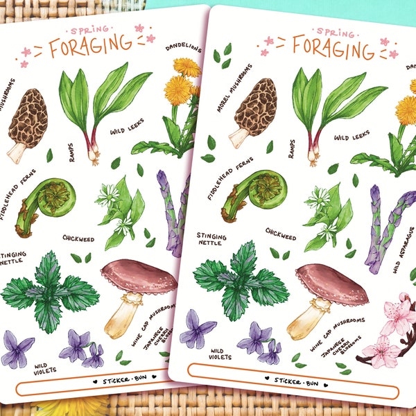 Spring Foraging Sticker Sheet | Journal Stickers | Planner Stickers | Scrapbooking | Stationary | Bullet Journal | Botanical Illustration