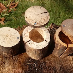 Puede incluir: Tres cajas de madera con tapas hechas de troncos de árboles. Las cajas son de diferentes tamaños y tienen un acabado de madera natural.