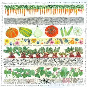 Könnte beinhalten: Eine handgezeichnete Illustration eines Gartens mit einer Vielzahl von Pflanzen, Blumen und Gemüse. Die Illustration enthält Text, der die verschiedenen Arten von Böden, Pflanzen und Insekten beschreibt, die in einem Garten vorkommen können. Der Text enthält auch Tipps für die Gartenarbeit, wie z. B. wann man verschiedene Kulturen pflanzen und ernten sollte.
