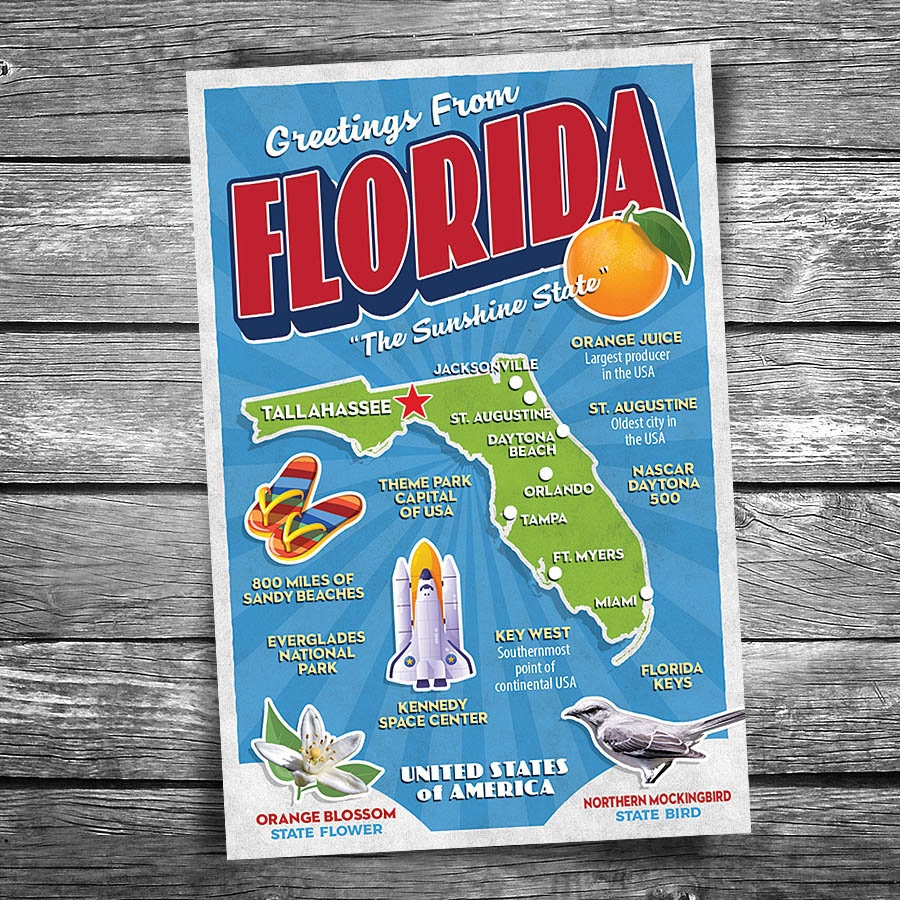 Greetings From Florida | 4x6 Postcard