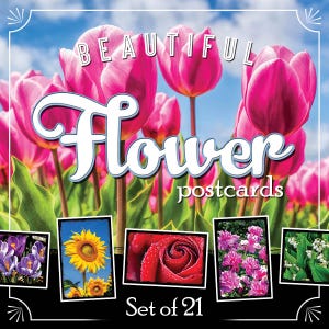Flower Postcards | Set of 21 | 4x6