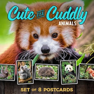 May include: A set of 8 postcards featuring adorable animals. The postcards showcase a red panda, sloth, koalas, hedgehog, panda, and squirrel. The words "Cute and Cuddly Animals" are written in a teal font above the postcards.