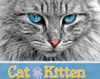 Midnight Kitten Postcard Midnight Kitten Postcard