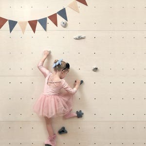 Rock climbing wall for hom, wall rock climbing, rocking toddler, climbing panel, toddler exercise, active kids toy, climbing wall with holds