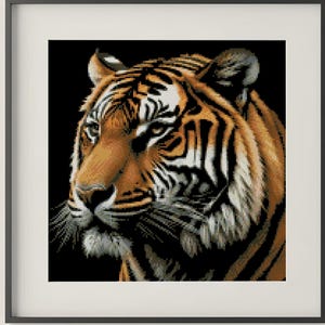 Könnte beinhalten: Gerahmter Kunstdruck mit einem Tigerporträt. Das Tier hat orangefarbenes Fell mit schwarzen Streifen und einen weißen Bart. Der Hintergrund ist schwarz, und der Druck ist in einem schwarzen Rahmen.