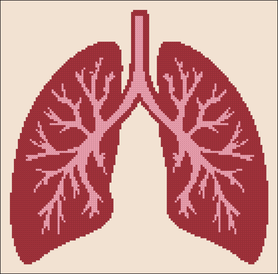 Lungs Cross Stitch Pattern Embroidery Pattern PDF Anatomy Etsy UK